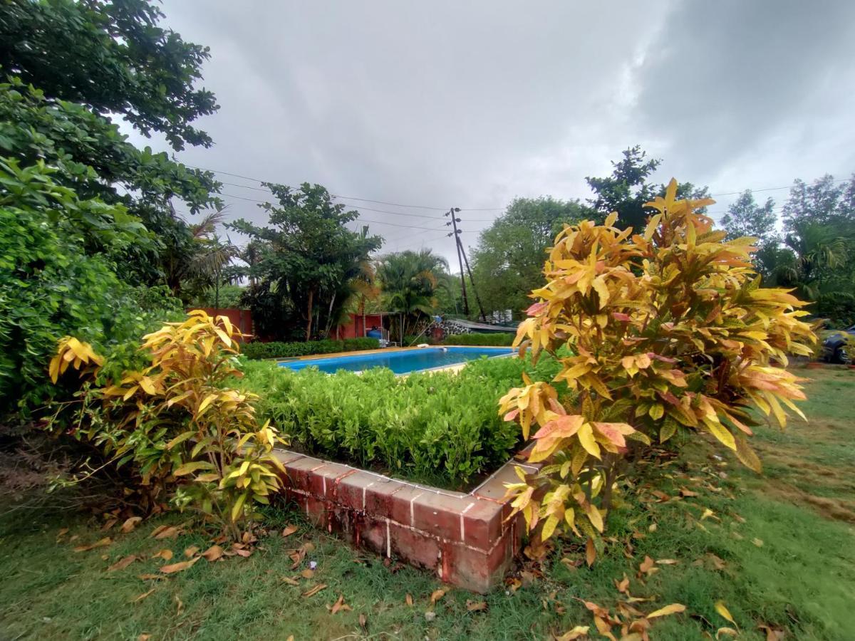Opulence Resort Awas Alibaug Alībāg Exteriér fotografie